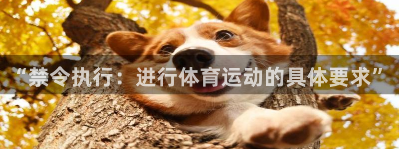 五星体育足球解说员名单：“禁令执行：进行体育运动的具体要求”