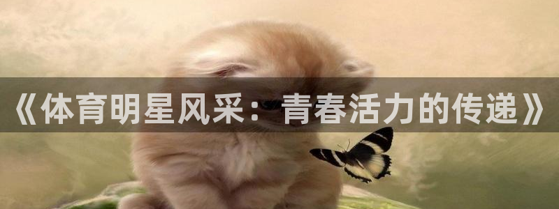 五星体育nba直播：《体育明星风采：青春活力的传递》