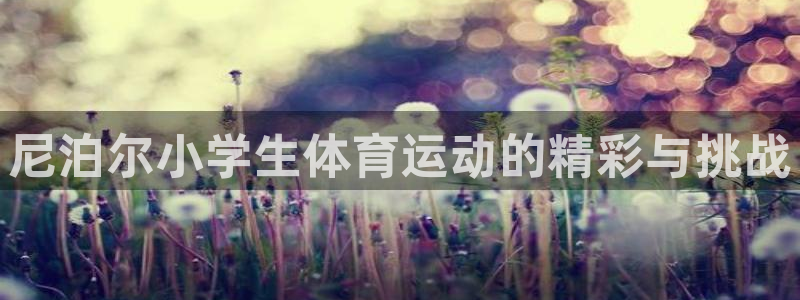 五星体育棋牌类节目：尼泊尔小学生体育运动的精彩与挑战
