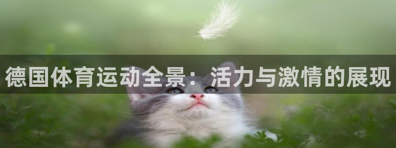 五星体育手机版下载：德国体育运动全景：活力与激情的展现