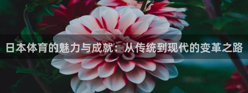 五星体育体育新闻：日本体育的魅力与成就：从传统到现代的变革之路