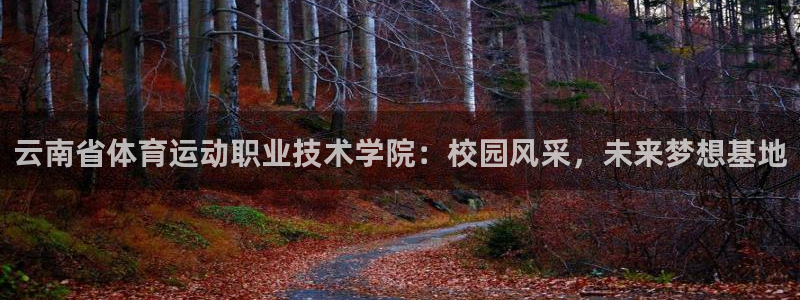 五星体育寇婷婷简历：云南省体育运动职业技术学院：校园风采，未来梦想基地