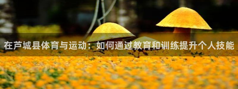 五星体育微博：在芦城县体育与运动：如何通过教育和训练提升个人技能