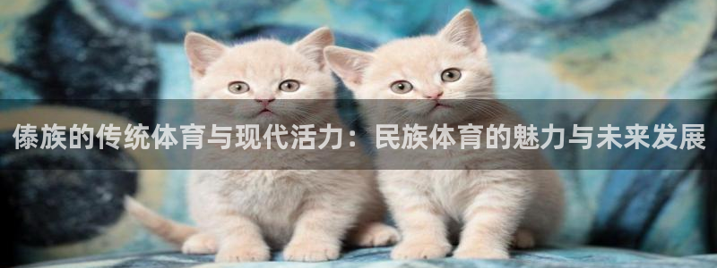 五星体育 电视猫：傣族的传统体育与现代活力：民族体育的魅力与未来发展