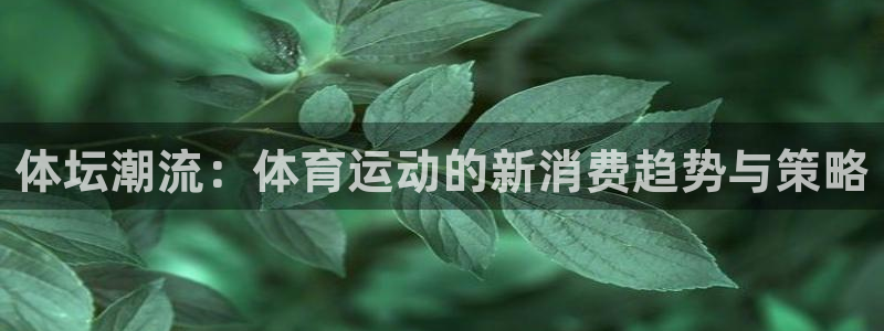 五星体育马晓薇：体坛潮流：体育运动的新消费趋势与策略