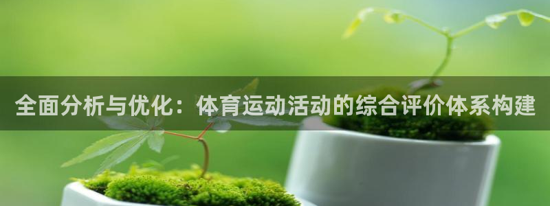 五星体育阮奶奶：全面分析与优化：体育运动活动的综合评价体系构建